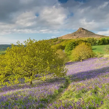 Ferienhaus Luxury Nestled In The Heart Of - Pet Friendly Pickering